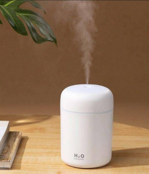 Humidifier