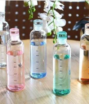 Glass Water Bottle 500ml (2443)